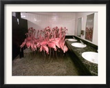 Caribbean Flamingos from Miami's Metrozoo Crowd into the Men's Bathroom Framed Photographic Print