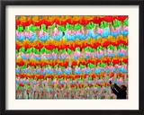 A South Korean Worker Decorates Lanterns to Celebrate Buddha's Upcoming Birthday Framed Photographic Print