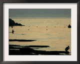 Men are Silhouetted Against the Sea as They Fish and Relax on the Beirut Coastline, August 24, 2006 Framed Photographic Print by Matt Dunham