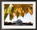 Fall Foliage Frames the Jefferson Memorial on the Tidal Basin Near the White House Framed Photographic Print by Ron Edmonds