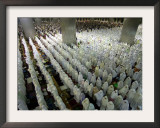 Indonesian Muslims Pray at Istiqlal Mosque in Jakarta for the Victims of Deadly Tsunami in Aceh Framed Photographic Print
