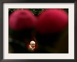 Pope Benedict XVI Delivers His Year-End Speech Framed Photographic Print by Alessandro Bianchi