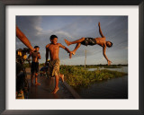 Youths Play in a Lagoon Near the Eastern Beni State Capital of Trinidad, Bolivia Framed Photographic Print