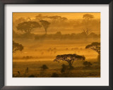 Herbivores at Sunrise, Amboseli Wildlife Reserve, Kenya Framed Photographic Print by Vadim Ghirda