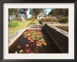 A Cabin at Cinchona Gardens with Floral Ponds Framed Photographic Print