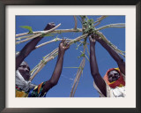 Displaced Sudanese Women Try to Rebuild their Tents in Refugee Camp in the Darfur Area of Sudan Framed Photographic Print