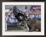 Gaucho, or Cowboy, is Thrown from a Horse as He Competes in a Rodeo in Montevideo Framed Photographic Print