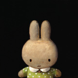 Lost Miffy Muursticker