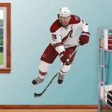 Shane Doan   Wall Decal