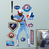 Andre Dawson Expos Wall Decal