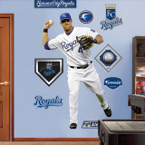 Alex Gordon Wall Decal