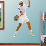 Tommy Haas Wall Decal