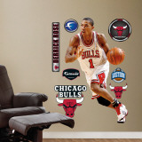 Derrick Rose Wall Decal