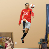 Dimitar Berbatov Wall Decal