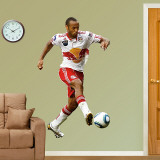 Thierry Henry 2010 Vinilos decorativos Thierry Henry 2010 Vinilos decorativos