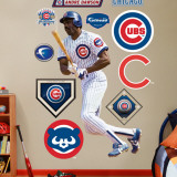 Andre Dawson Cubs Wall Decal