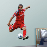 Dwayne De Rosario   Wall Decal