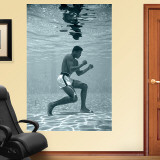 Ali Underwater Mural Wall Decal