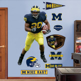 Mike Hart Michigan Wall Decal