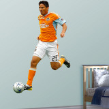 Brian Ching   Wall Decal