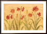 Ensemble d'amaryllis rouges Affiches par Cheri Blum