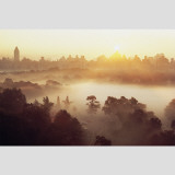Mist Over the Sheep Meadow Wall Decal