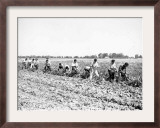 Mexican Youths Framed Photographic Print