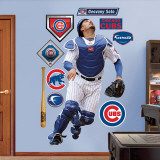Geovany Soto Wall Decal