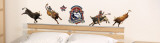 Professional Bull Rider Layout Wall Decal