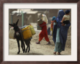 Afghan Woman Walks Along with Donkey Carrying Jerry Cans Filled with Water in Kabul, Afghanistan Framed Photographic Print