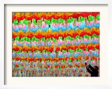 A South Korean Worker Decorates Lanterns to Celebrate Buddha's Upcoming Birthday Framed Photographic Print