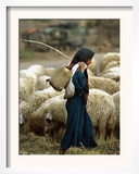 An Iraqi Shepherd, a Young Girl, Herds Her Sheep Framed Photographic Print