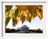 Fall Foliage Frames the Jefferson Memorial on the Tidal Basin Near the White House Framed Photographic Print by Ron Edmonds