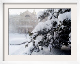 The New Jersey Statehouse Shown Framed Photographic Print