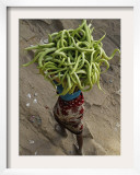 Indian Farmer Carries Cucumbers to Sell in the Market on the Outskirts of Allahabad, India Framed Photographic Print