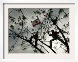 Lebanese Anti-American Protesters Framed Photographic Print