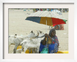 A Somaliland Woman Waits for Customers, in Hargeisa, Somalia September 27, 2006 Framed Photographic Print by Sayyid Azim