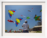 Member of Indonesia Kite Team Flies Kite with Series of Colorful Bird Sales, Vung Tau City, Vietnam Framed Photographic Print