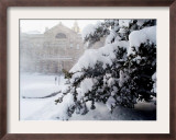 The New Jersey Statehouse Shown Framed Photographic Print