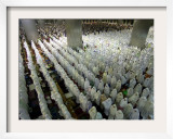 Indonesian Muslims Pray at Istiqlal Mosque in Jakarta for the Victims of Deadly Tsunami in Aceh Framed Photographic Print
