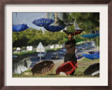 Pakistani Road Side Vendor Standing Next to His Display of Umbrellas for Sale Framed Photographic Print
