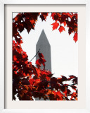 The Washington Monument Surrounded by the Brilliant Colored Leaves Framed Photographic Print by Ron Edmonds