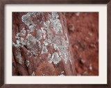 Rocky Pinnacle Prints by Nicole Katano