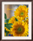 Smile: Sunny Sunflower Print by Nicole Katano