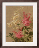 Red and Painted Trillium Art