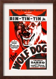 The Wolf Dog, Rin Tin Tin Jr., 1933 Art