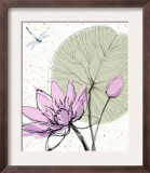 Abstract Lily Pad with Dragonfly Prints