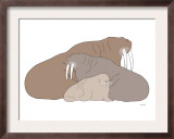 Brown Walrus Prints by  Avalisa
