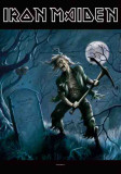 Iron Maiden - Ben Bregg Kunstdrucke