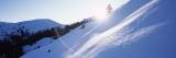 Trees On a Snow Covered Landscape, Kitzbuhel, Westendorf, Tirol, Austria wandtattoos von  Panoramic Images
